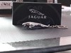   Jaguar #29255