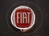  Fiat 29904